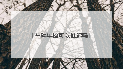 车辆年检可以推迟吗