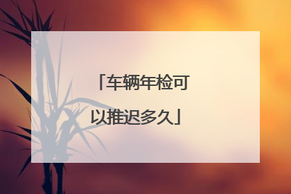 车辆年检可以推迟多久