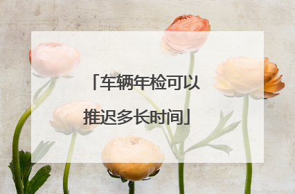 车辆年检可以推迟多长时间