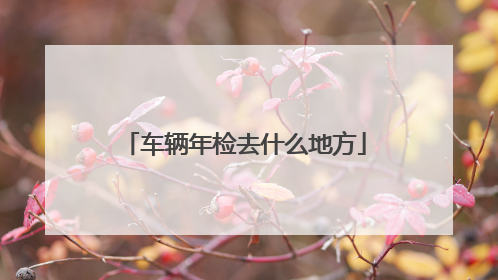 车辆年检去什么地方