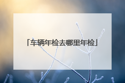 车辆年检去哪里年检