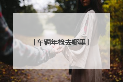 车辆年检去哪里