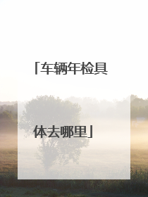 车辆年检具体去哪里