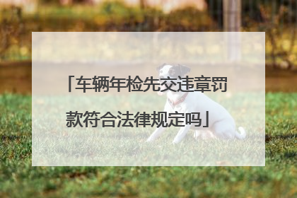 车辆年检先交违章罚款符合法律规定吗