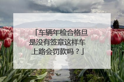 车辆年检合格旦是没有签章这样车上路会罚款吗？