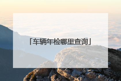 车辆年检哪里查询