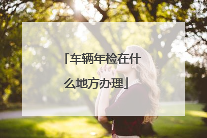 车辆年检在什么地方办理