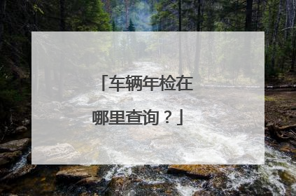 车辆年检在哪里查询？