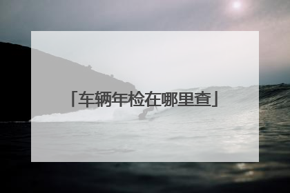 车辆年检在哪里查