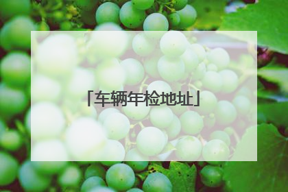 车辆年检地址