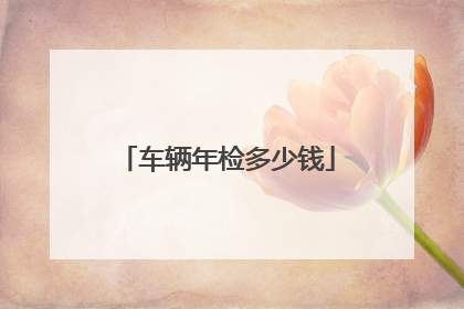 车辆年检多少钱