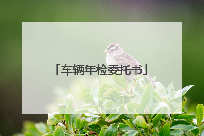 车辆年检委托书