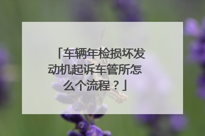 车辆年检损坏发动机起诉车管所怎么个流程？
