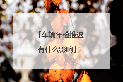 车辆年检推迟有什么影响