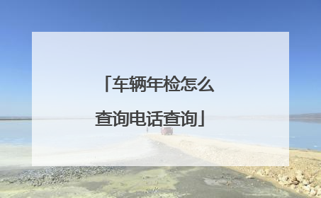 车辆年检怎么查询电话查询