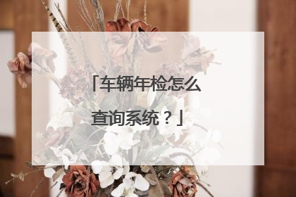 车辆年检怎么查询系统？