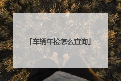 车辆年检怎么查询