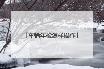 车辆年检怎样操作