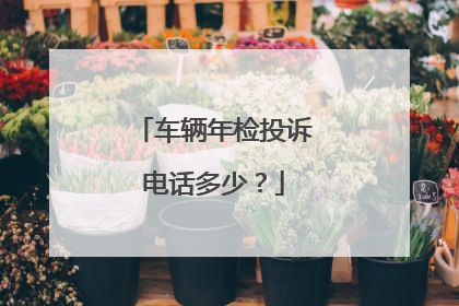 车辆年检投诉电话多少？