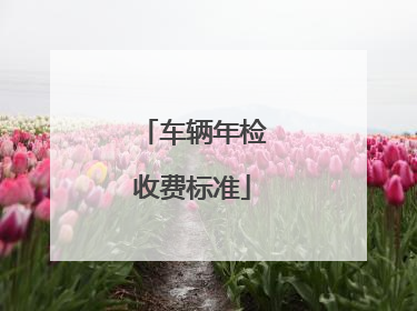 车辆年检收费标准