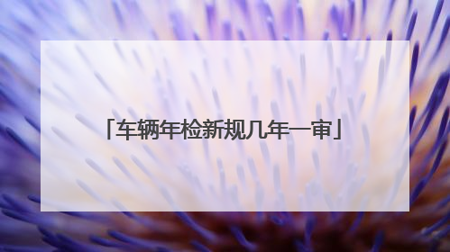 车辆年检新规几年一审