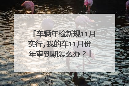 车辆年检新规11月实行,我的车11月份年审到期怎么办？