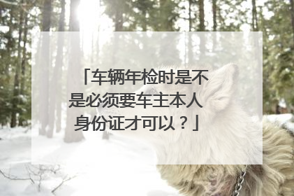 车辆年检时是不是必须要车主本人身份证才可以？