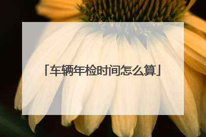 车辆年检时间怎么算