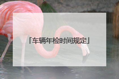 车辆年检时间规定