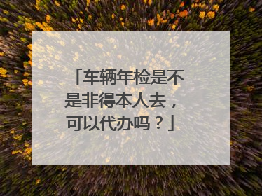 车辆年检是不是非得本人去，可以代办吗？