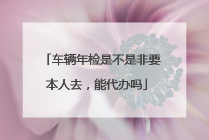 车辆年检是不是非要本人去，能代办吗