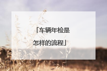 车辆年检是怎样的流程
