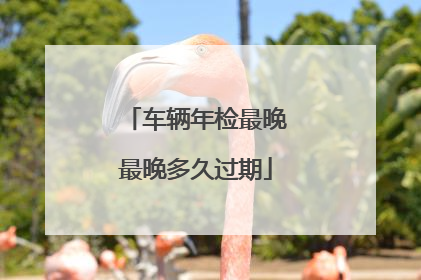 车辆年检最晚最晚多久过期