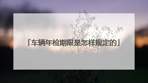 车辆年检期限是怎样规定的