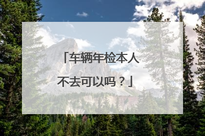 车辆年检本人不去可以吗？