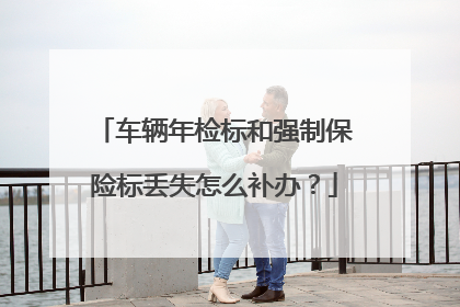 车辆年检标和强制保险标丢失怎么补办？