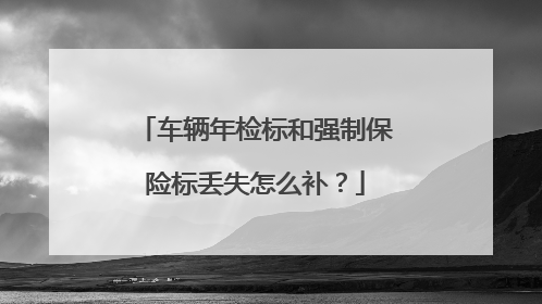 车辆年检标和强制保险标丢失怎么补？
