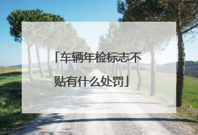 车辆年检标志不贴有什么处罚