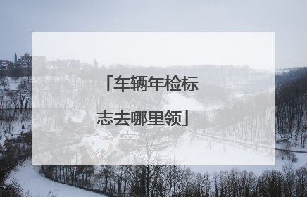 车辆年检标志去哪里领