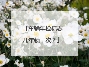 车辆年检标志几年领一次？
