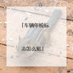 车辆年检标志怎么贴