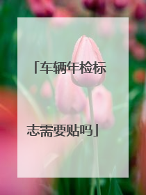 车辆年检标志需要贴吗