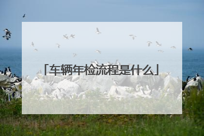 车辆年检流程是什么