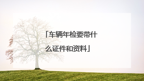 车辆年检要带什么证件和资料