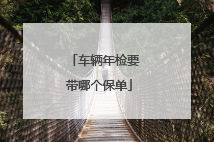 车辆年检要带哪个保单