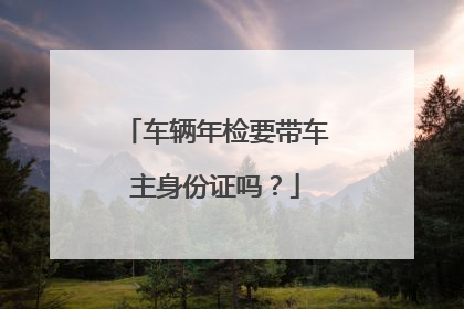 车辆年检要带车主身份证吗？