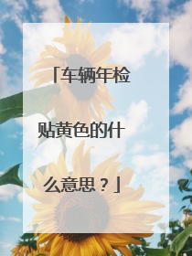 车辆年检贴黄色的什么意思？