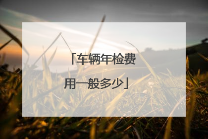 车辆年检费用一般多少