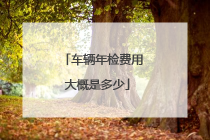 车辆年检费用大概是多少