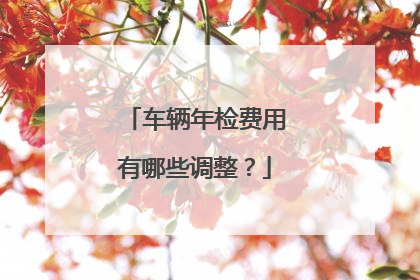 车辆年检费用有哪些调整？